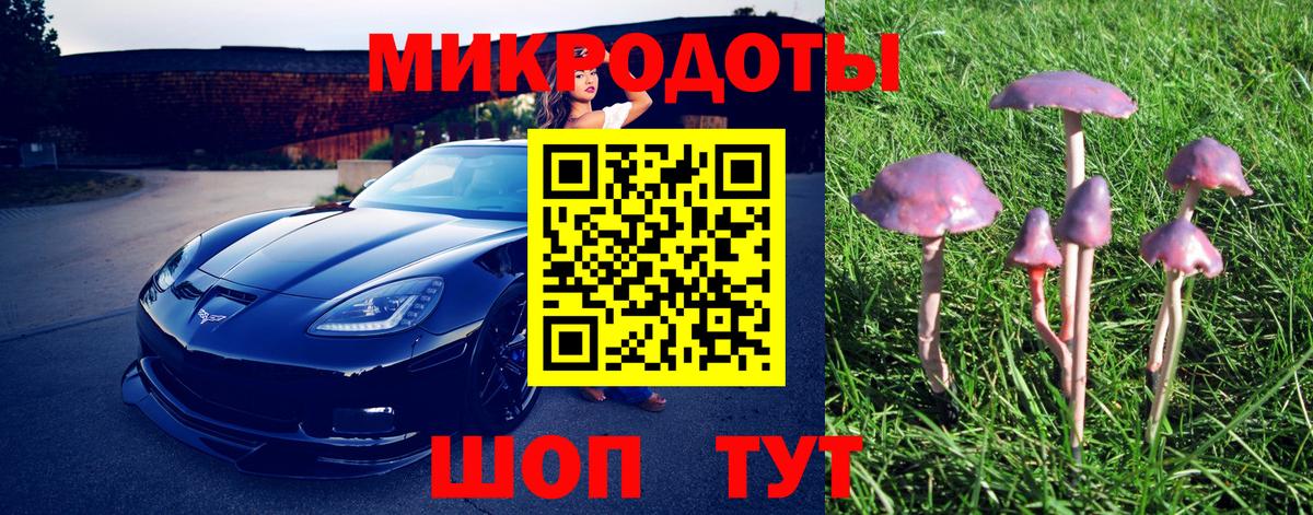 Псилоцибиновые грибы мицелий Назарово